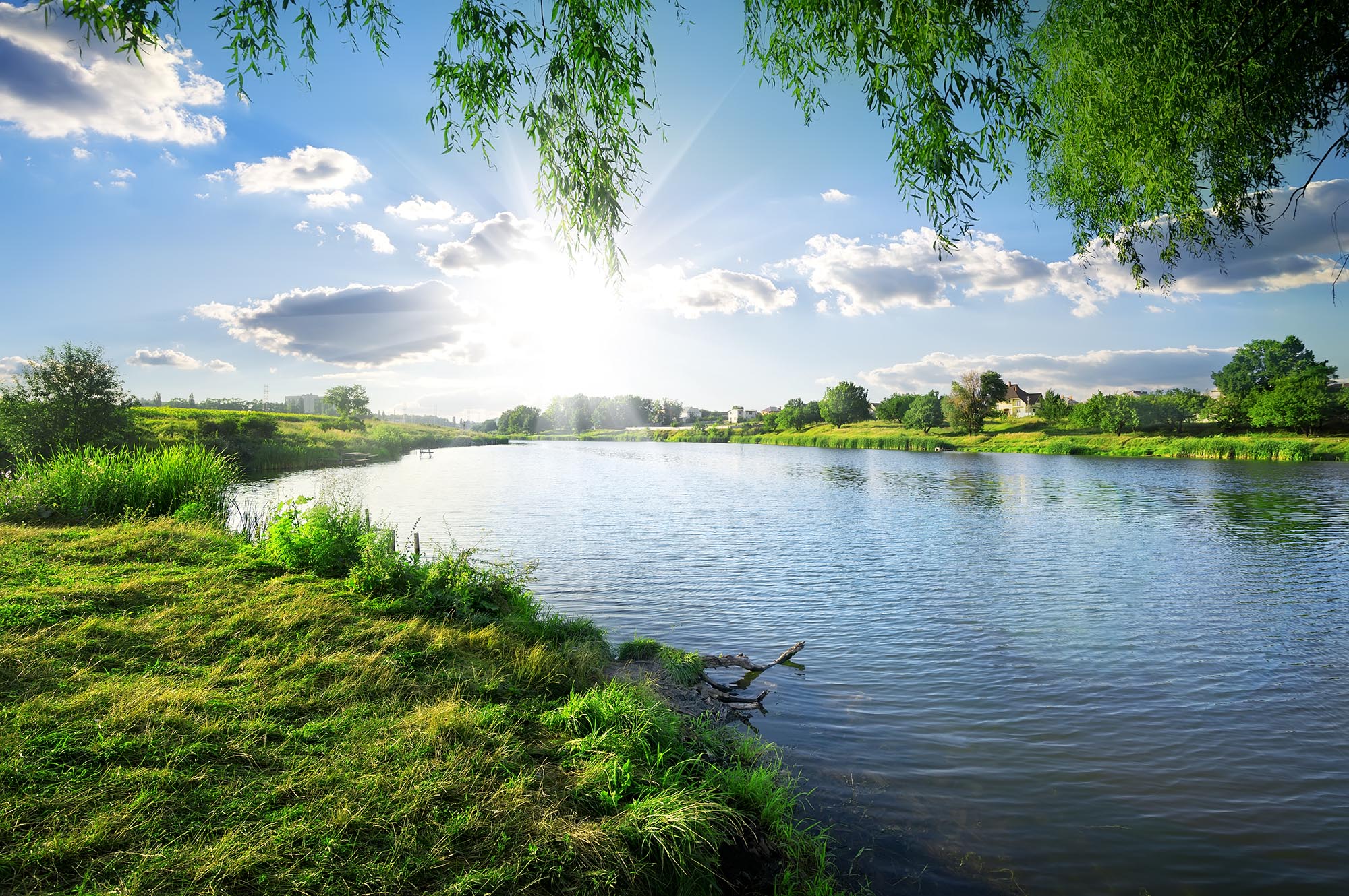 photo of a pond