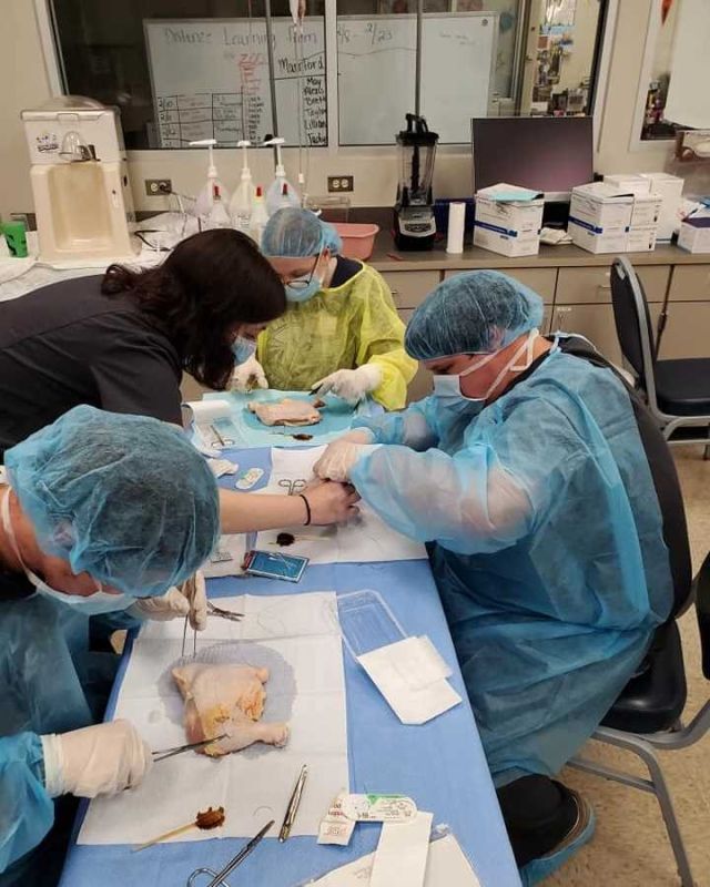 Vet students in the Advanced Health Careers class learned surgical scrubbing from our Surg Tech friends next door - thank you Mr. Prough and Ms. Fox! Then they learned to suture and remove sutures.
#centraltechedu #centraltechAHC #hosafhp #centraltechSurgTech