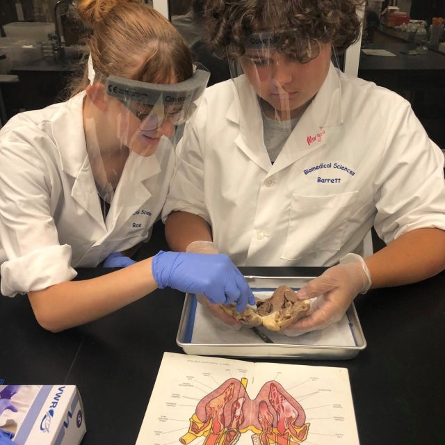 Biomedical Sciences students are exploring the inner workings of the heart ❤️
#centraltechedu #centraltechBioMed #scienceiscool #pltw #stemeducation
