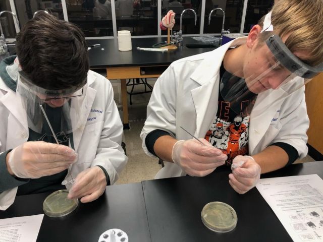 Biomed seniors genetically altering bacteria to mass produce a green glowing protein…just in time for Christmas 🎄🎁
#centraltechedu #centraltechBiomed #STEM #PLTW #ScienceIsCool