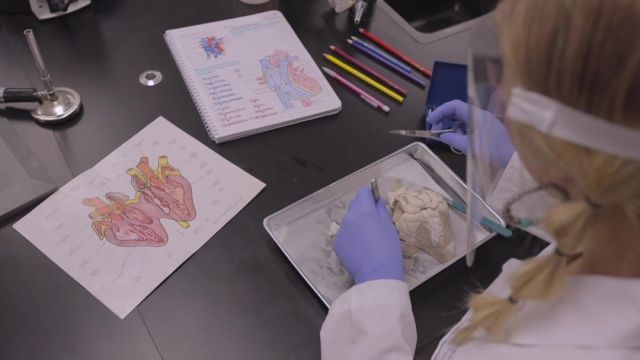 CSI meets ER in the Biomedical Sciences class. Students use the latest equipment and information to solve real-world biomedical challenges, while at the same time build a foundation for future learning and career opportunities.

LEARN MORE > https://bit.ly/3CzgmpN

#centraltechedu #centraltechBioMed