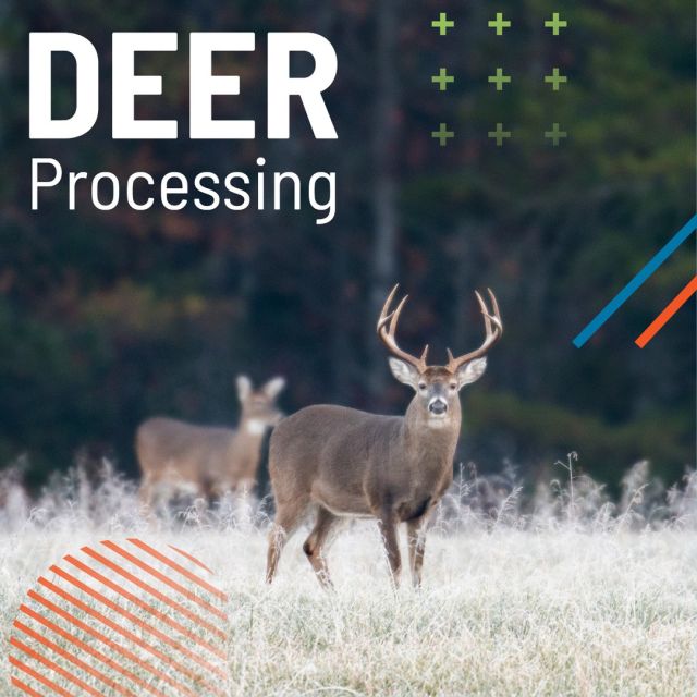 DIY deer processing. Chris from @wcmeat will teach you how to skin a deer and prepare various cuts.
LEARN MORE > centraltech.info/deer
#centraltechAg #centraltechBIS
