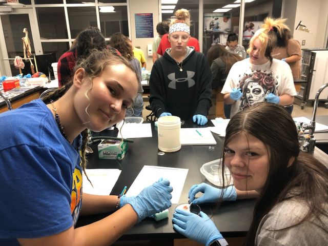 Biomedical Sciences students investigating a crime scene by doing a presumptive blood test. 
#centraltechedu #centraltechBiomed