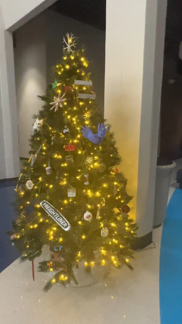 Students on the Drumright campus have been busy decking the halls - each class created ornaments that represent the skills they teach. From welding sparks to health science hearts, every program added something special to our campus tree 🎄