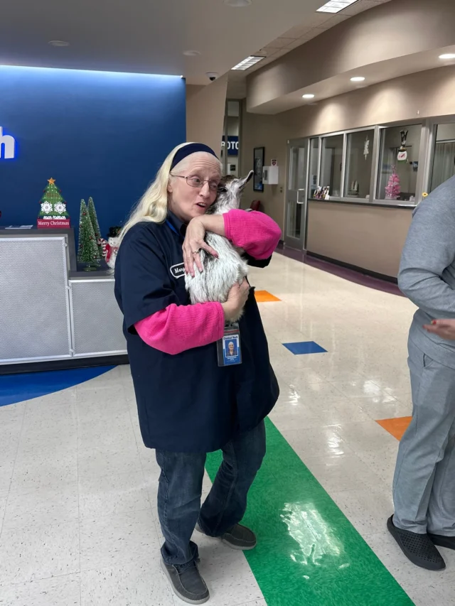 Christmas clothes and baby goats - the Sapulpa campus knows how to spend the last day before Winter Break 🐐🎄