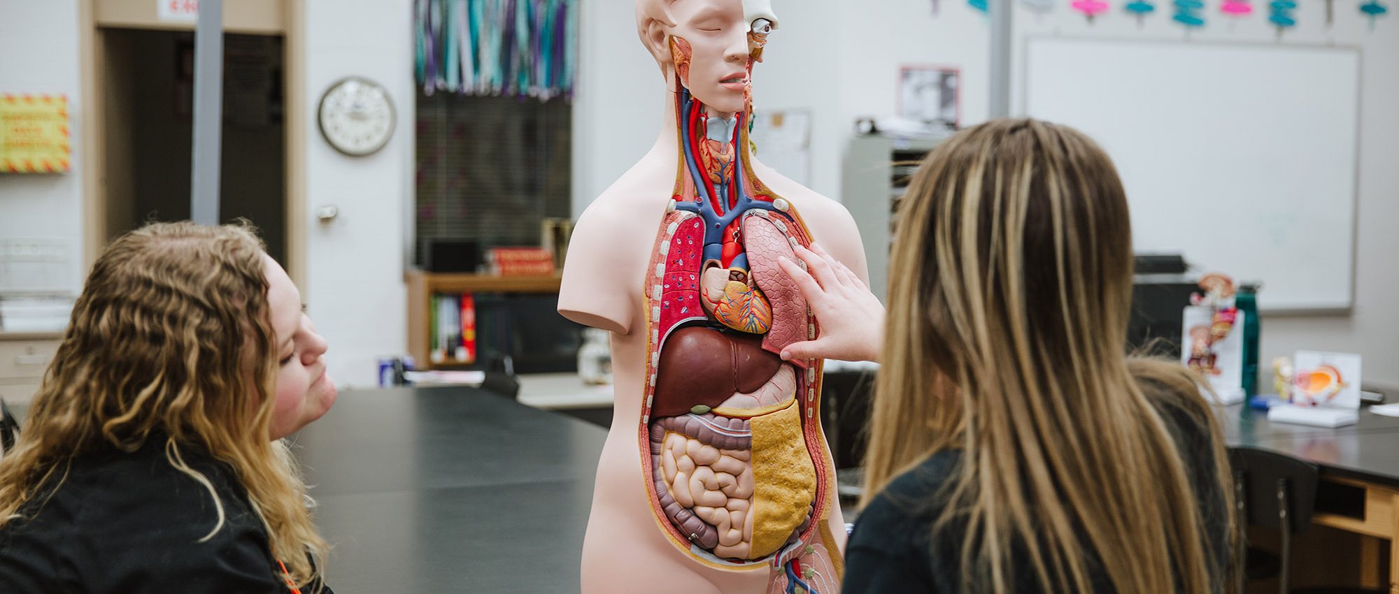 student studying the anatomy