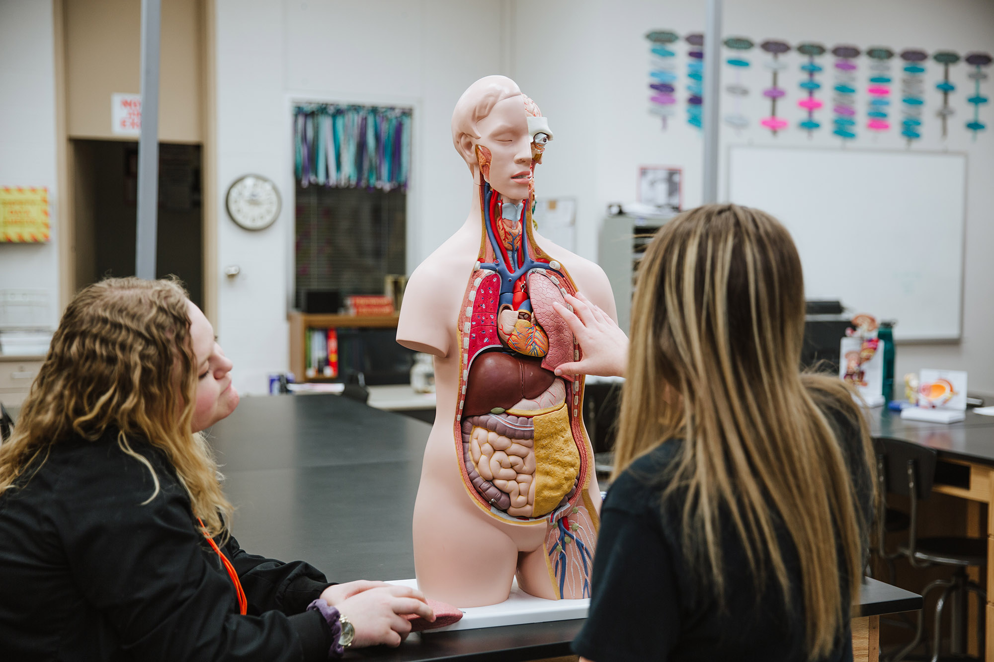 student studying the anatomy